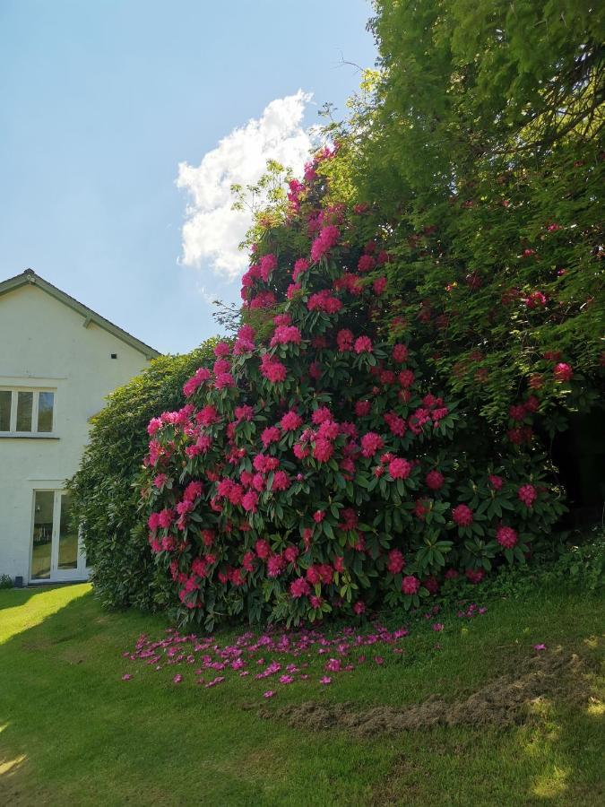 Treeside Woodhouse Villa Hawkshead Exterior photo